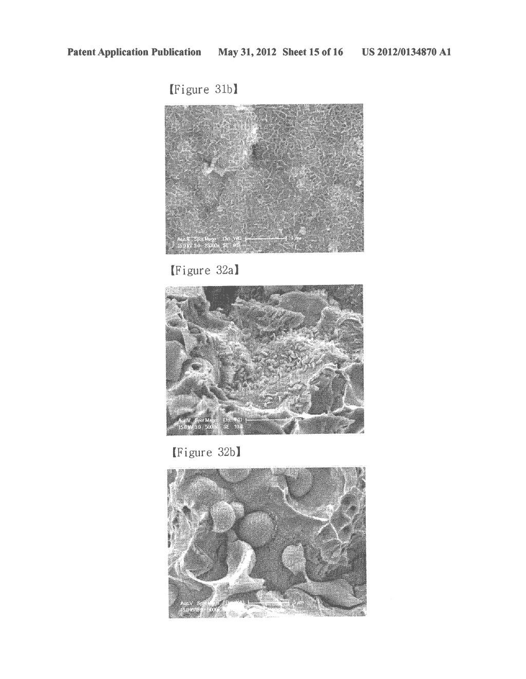 COMPOSITE SINTERING MATERIALS USING CARBON NANOTUBE AND MANUFACTURING     METHOD THEREOF - diagram, schematic, and image 16