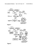 PARTICULATE, HETEROGENEOUS SOLID CO2 ABSORBENT COMPOSITION, METHOD FOR ITS     PREPARATION AND USE THEREOF diagram and image