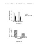 A3 ADENOSINE RECEPTOR LIGANDS FOR MODULATION OF PIGMENTATION diagram and image