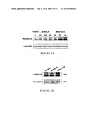 A3 ADENOSINE RECEPTOR LIGANDS FOR MODULATION OF PIGMENTATION diagram and image