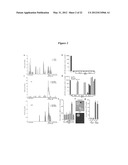 EMBRYONIC STEM CELL SPECIFIC MICRORNAS PROMOTE INDUCED PLURIPOTENCY diagram and image