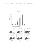 EMBRYONIC STEM CELL SPECIFIC MICRORNAS PROMOTE INDUCED PLURIPOTENCY diagram and image