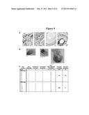 EMBRYONIC STEM CELL SPECIFIC MICRORNAS PROMOTE INDUCED PLURIPOTENCY diagram and image