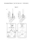 EMBRYONIC STEM CELL SPECIFIC MICRORNAS PROMOTE INDUCED PLURIPOTENCY diagram and image