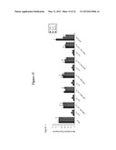 EMBRYONIC STEM CELL SPECIFIC MICRORNAS PROMOTE INDUCED PLURIPOTENCY diagram and image