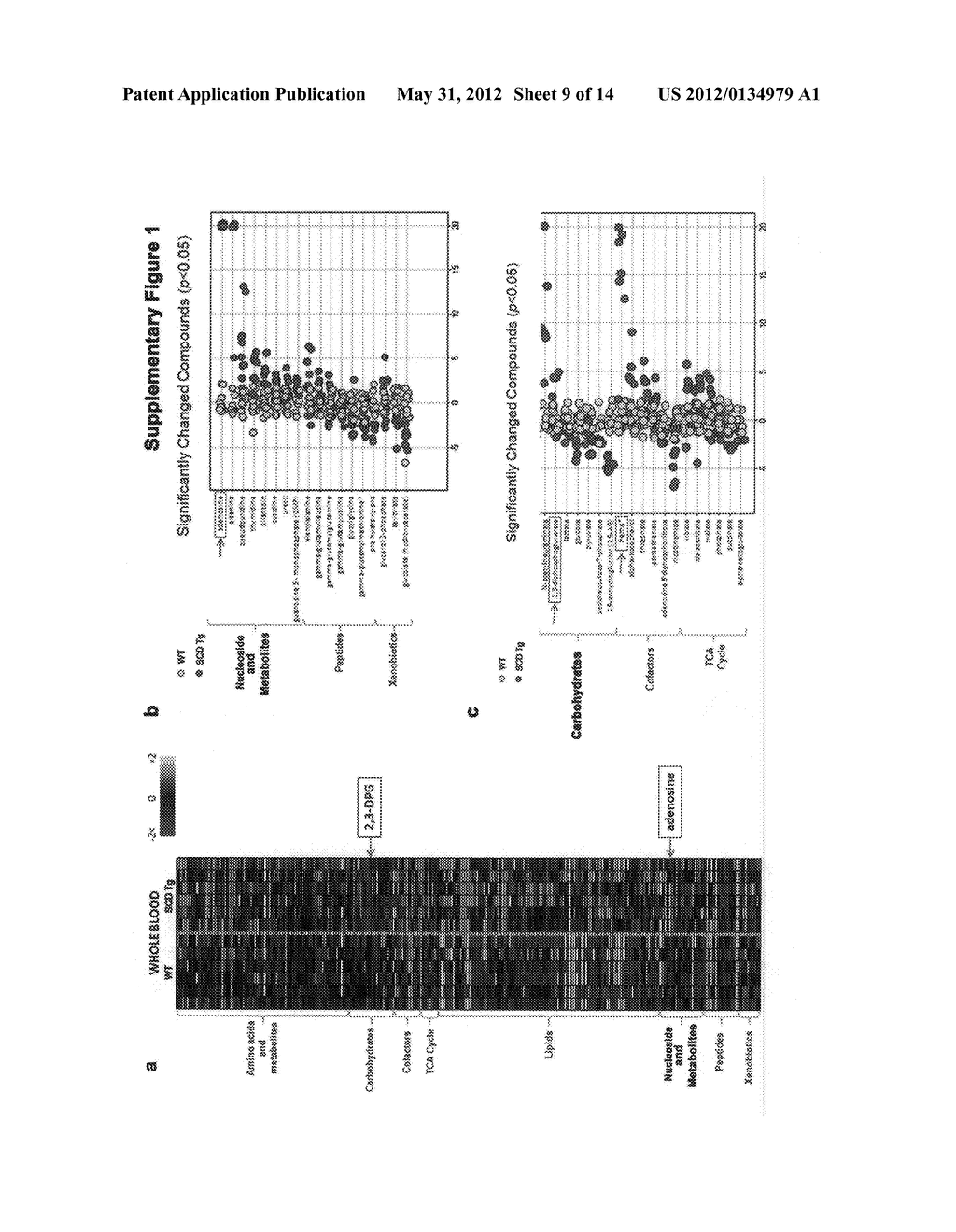 METHODS AND COMPOSITIONS FOR THE TREATMENT OF SICKLE CELL DISEASE - diagram, schematic, and image 10