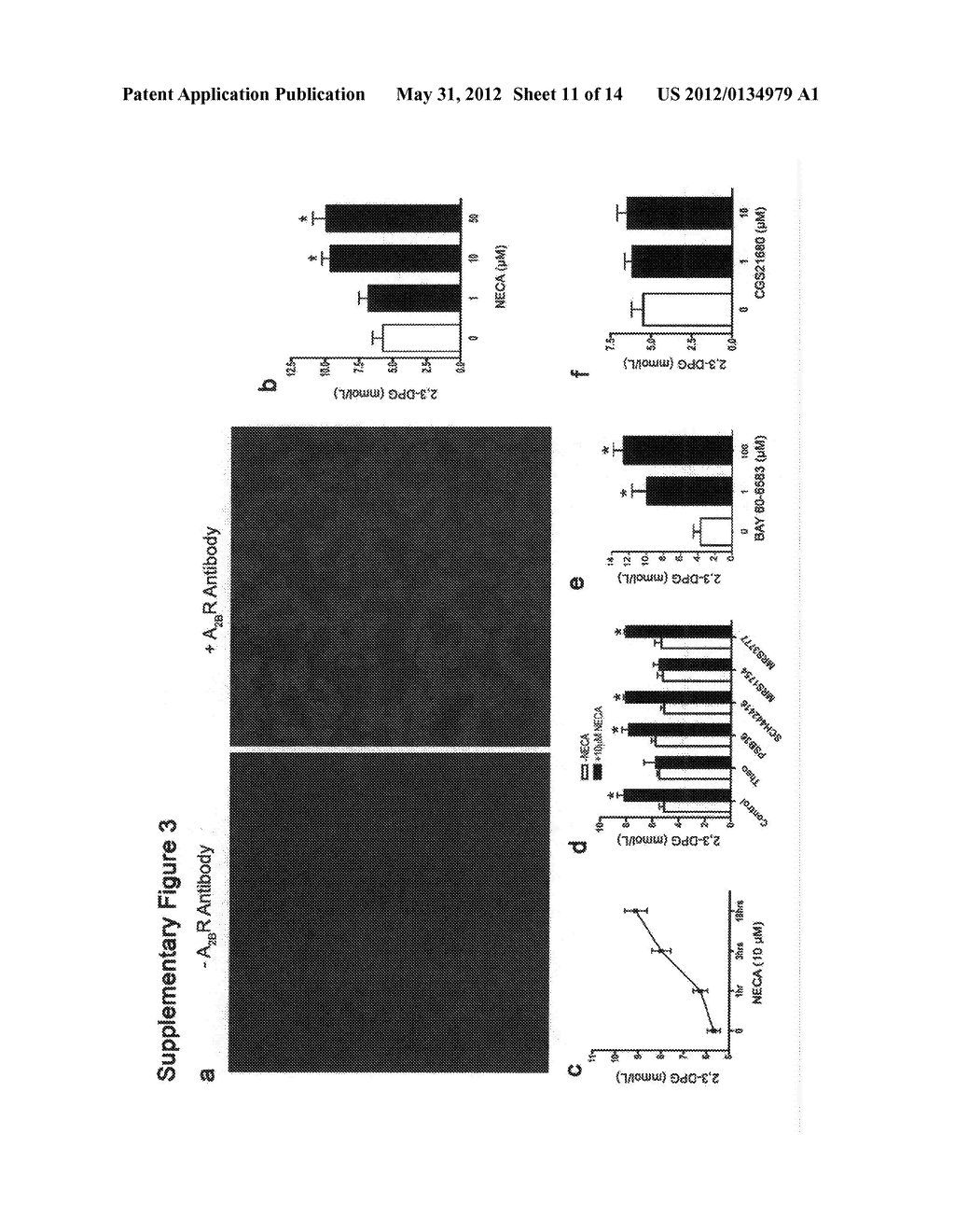 METHODS AND COMPOSITIONS FOR THE TREATMENT OF SICKLE CELL DISEASE - diagram, schematic, and image 12
