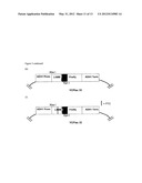 Method for Identifying Interventions that Control the Translational     Activity of Ribosomal Proteins in Different MRNA Expression diagram and image