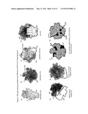 Method for Identifying Interventions that Control the Translational     Activity of Ribosomal Proteins in Different MRNA Expression diagram and image