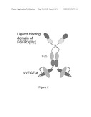 COMPOSITIONS AND METHODS FOR USING MULTISPECIFIC-BINDING PROTEINS     COMPRISING AN ANTIBODY-RECEPTOR COMBINATION diagram and image