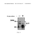 ANTI-ILT7 ANTIBODY diagram and image