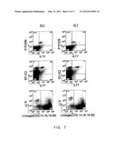 ANTI-ILT7 ANTIBODY diagram and image