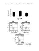 Anti-LPS Enriched Immunoglobulin Preparations For The Treatment And/Or     Prophylaxis Of A Pathologic Disorder diagram and image