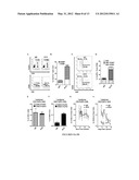 Method for in vivo expansion of T regulatory cells diagram and image