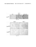 CD45 and Methods and Compounds Related Thereto diagram and image