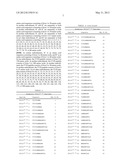 FVIII PEPTIDES FOR IMMUNE TOLERANCE INDUCTION AND IMMUNODIAGNOSTICS diagram and image