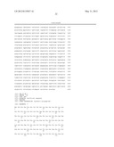 FLAGELLIN FUSION PROTEINS AND CONJUGATES COMPRISING PNEUMOCOCCUS ANTIGENS     AND METHODS OF USING THE SAME diagram and image