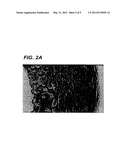 Decellularized tissue engineered constructs and tissues diagram and image