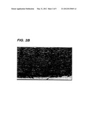 Decellularized tissue engineered constructs and tissues diagram and image