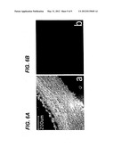 Decellularized tissue engineered constructs and tissues diagram and image