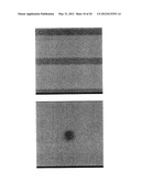 FUNCTIONALLY GRADIENT INORGANIC RESIST, SUBSTRATE WITH FUNCTIONALLY     GRADIENT INORGANIC RESIST, CYLINDRICAL BASE MATERIAL WITH FUNCTIONALLY     GRADIENT INORGANIC RESIST, METHOD FOR FORMING FUNCTIONALLY GRADIENT     INORGANIC RESIST AND METHOD FOR FORMING FINE PATTERN, AND INORGANIC     RESIST AND METHOD FOR FORMING THE SAME diagram and image