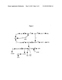 GENE SEQUENCE VARIANCES IN GENES RELATED TO FOLATE METABOLISM HAVING     UTILITY IN DETERMINING THE TREATMENT OF DISEASE diagram and image