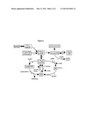 GENE SEQUENCE VARIANCES IN GENES RELATED TO FOLATE METABOLISM HAVING     UTILITY IN DETERMINING THE TREATMENT OF DISEASE diagram and image