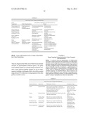 GENE SEQUENCE VARIANCES IN GENES RELATED TO FOLATE METABOLISM HAVING     UTILITY IN DETERMINING THE TREATMENT OF DISEASE diagram and image