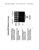 OPTOELECTRONIC DETECTION SYSTEM diagram and image