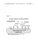 OPTOELECTRONIC DETECTION SYSTEM diagram and image