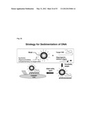 OPTOELECTRONIC DETECTION SYSTEM diagram and image