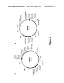 PYROCOCCUS FURIOSUS STRAINS AND METHODS OF USING SAME diagram and image