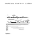 PYROCOCCUS FURIOSUS STRAINS AND METHODS OF USING SAME diagram and image