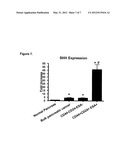 Compositions And Methods For Treating And Diagnosing Pancreatic Cancer diagram and image