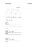 TYPE IV COLLAGEN-LIKE IMMUNOREACTIVE PEPTIDE diagram and image