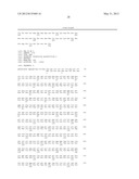 NOVEL GLYCOSYLTRANSFERASE, NOVEL GLYCOSYLTRANSFERASE GENE, AND NOVEL SUGAR     DONOR COMPOUND diagram and image