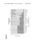 FRACTIONATION OF OIL-BEARING MICROBIAL BIOMASS diagram and image