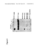 FRACTIONATION OF OIL-BEARING MICROBIAL BIOMASS diagram and image