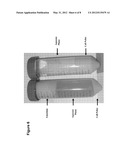 FRACTIONATION OF OIL-BEARING MICROBIAL BIOMASS diagram and image