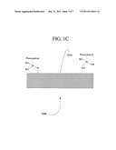 Fabrics Comprising a Photocatalyst to Produce Singlet Oxygen from Ambient     Oxygen diagram and image