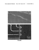 CELL HANDLING, ELECTROPORATION AND ELECTROFUSION IN MICROFLUIDIC SYSTEMS diagram and image