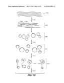 High throughput genome sequencing on DNA arrays diagram and image