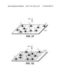 High throughput genome sequencing on DNA arrays diagram and image