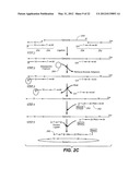 High throughput genome sequencing on DNA arrays diagram and image