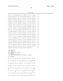 MONOMERIC AND DIMERIC FORMS OF ADIPONECTIN RECEPTOR FRAGMENTS AND METHODS     OF USE diagram and image