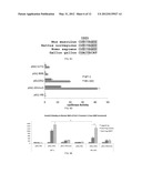 BONE MORPHOGENETIC PROTEINS FOR THE TREATMENT OF INSULIN RESISTANCE diagram and image