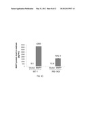 BONE MORPHOGENETIC PROTEINS FOR THE TREATMENT OF INSULIN RESISTANCE diagram and image