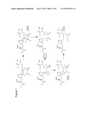 METHOD OF MODIFYING SERINE PROTEASE INHIBITORS diagram and image