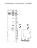 SINGLE NUCLEOTIDE POLYMORPHISM (SNP) TARGETING THERAPIES FOR THE TREATMENT     OF HUNTINGTON S DISEASE diagram and image