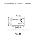 SINGLE NUCLEOTIDE POLYMORPHISM (SNP) TARGETING THERAPIES FOR THE TREATMENT     OF HUNTINGTON S DISEASE diagram and image